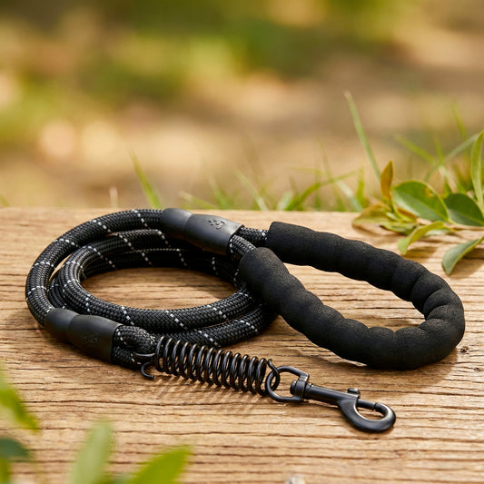 Laisse Élastique Anti-Choc (Bungee)